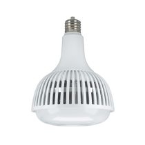 80W/LED/HID-HB/5K/120-277V - S13113