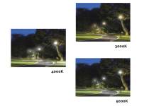 80W/LED/HID/CCT/EX39/100-277V - S13143