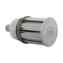 100W/LED/HID/CCT/EX39/100-277V - S13144