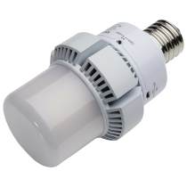45W/AP32/LED/CCT/100-277V/EX39 - S13165