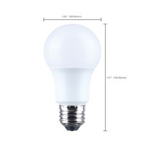 9.8A19L/930/E26/P/ND/1PK - S14355