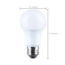 9.8A19L/950/E26/P/ND/12PK - S14363