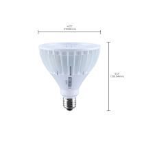 9.5A19L/827/E12/P/D/1PK - S15146