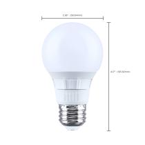 6A19L/8CCT5/E26/P/D/1PK - S15188