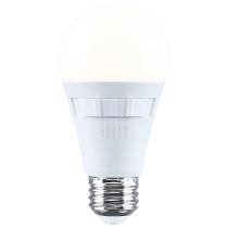 12A19L/9CCT5/E26/P/D/1PK - S15194