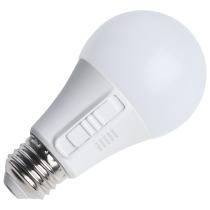 5.8A19L/9CCT5/E26/P/D/1PK - S15196