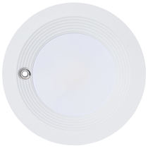 20.5W/CDL/6/120-347/FS/RD/DD/E - S21605