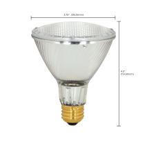 60PAR30L/HAL/XEN/NFL/2PK/120V - S2269
