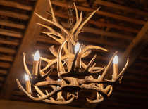 2C11/LED/SA/E26/27K/120V/CD - S22703