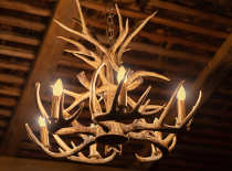 2C11/LED/A/E26/21K/120V/CD - S22707