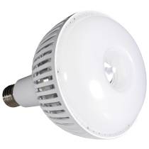 80W/LED/HID-HB/5K/120-277V - S23113