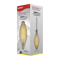 100BT38/AMBER/E26/VINTAGE/120V - S2431