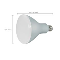 13BR40/LED/940/120V - S28493