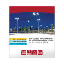 110W/LED/HID/SB/3CCT/EX39 - S28938R1