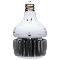 100W/LED/HID-HB/5K/100-277V - S33113