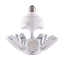 30W/LED/HID/MB-G3/50K/100-277V - S39750