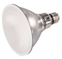 DISCONTINUED - S4207