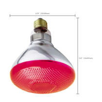 100W BR-38 RED 120V. - S4424