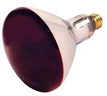 250R40/HR/2PK RED HEAT LAMP - S4754