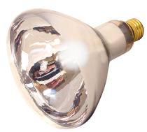 250R40/1/CL/2PK HEAT LAMP - S4755