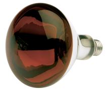 250R40/HR/TF SHATTER PROOF RED - S4884