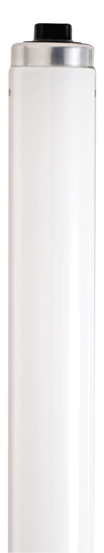 F96T12CW/VHO/SS/TF SHATTER PRO - S6590
