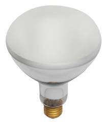 300BR40/FL/130V POOL LAMP - S7003