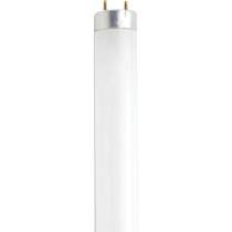 F13T8/CW 12IN 304MM - S7920