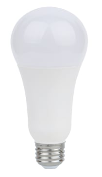 19A21/LED/27K /120-277V - S8646
