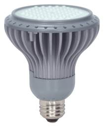 14PAR30LN/LED/40'/2700K/GRAY D - S8814