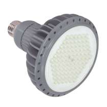 17PAR38/LED/40'/2700K/GRAY D - S8852