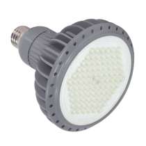 10PAR38/LED/40'/2700K/GRAY D - S8865