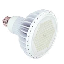 10PAR38/LED/40'/3500K/WHITE D - S8873