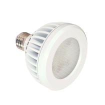 13PAR30S/LED/40'/2700K/WHITE D - S8959