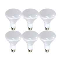 10BR30/LED/827/120V/6PK - S9021
