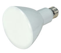10BR30/LED/2700K/650L/120V/D - S9138