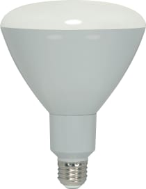 12BR40/LED/5000K/1000L/120V/D - S9147