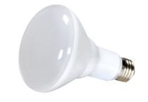 10BR30/LED/2700K/700L/120V/D - S9628