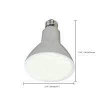 8BR30/LED/2700K/650L/2PK - S9698