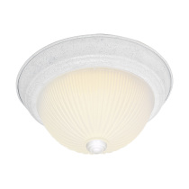 2 LIGHT 11" FLUSH MOUNT - SF76-131