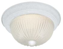 2 LIGHT 11" FLUSH MOUNT - SF76-194