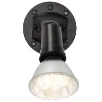 1 LIGHT PAR38 FLOODLIGHT - SF76-521