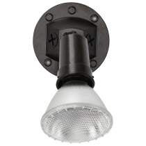 1 LIGHT PAR38 FLOODLIGHT - SF76-521