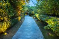 1 LIGHT PAR20 LANDSCAPE FLOOD - SF76-646