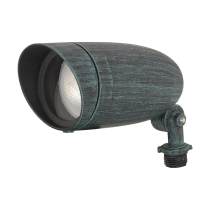 1 LIGHT PAR20 LANDSCAPE FLOOD - SF76-656