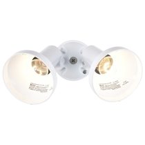 2 LIGHT 15" PAR38 FLOODLIGHT - SF77-488