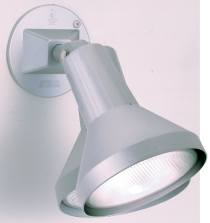 1 LIGHT 8" PAR38 FLOODLIGHT - SF77-702