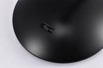 ORB 12W 3CCT 24 DEG BLACK - TH671