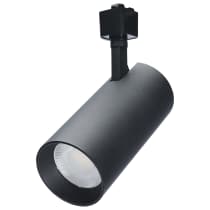 30W CCT LED TRACK HD 36 DG BLK - TH722