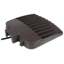 100W LED AREA LIGHT TYPE III - 65-861